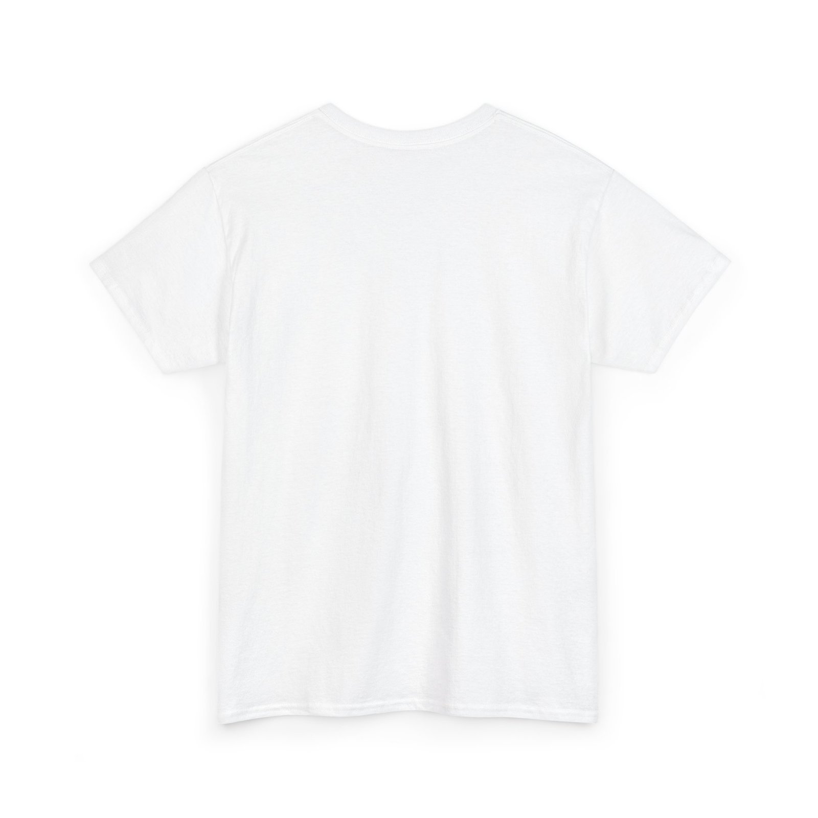 Let's Decolonize Judea T-Shirt - Image 4