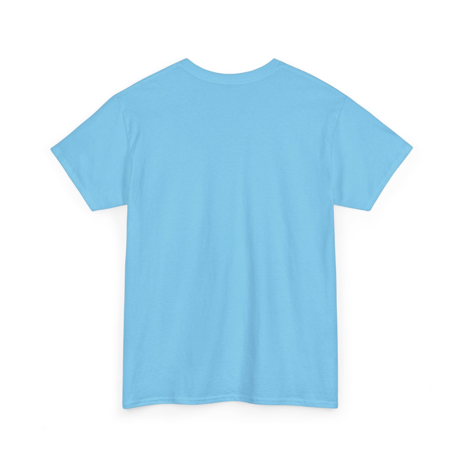 Let's Decolonize Judea T-Shirt - Image 21