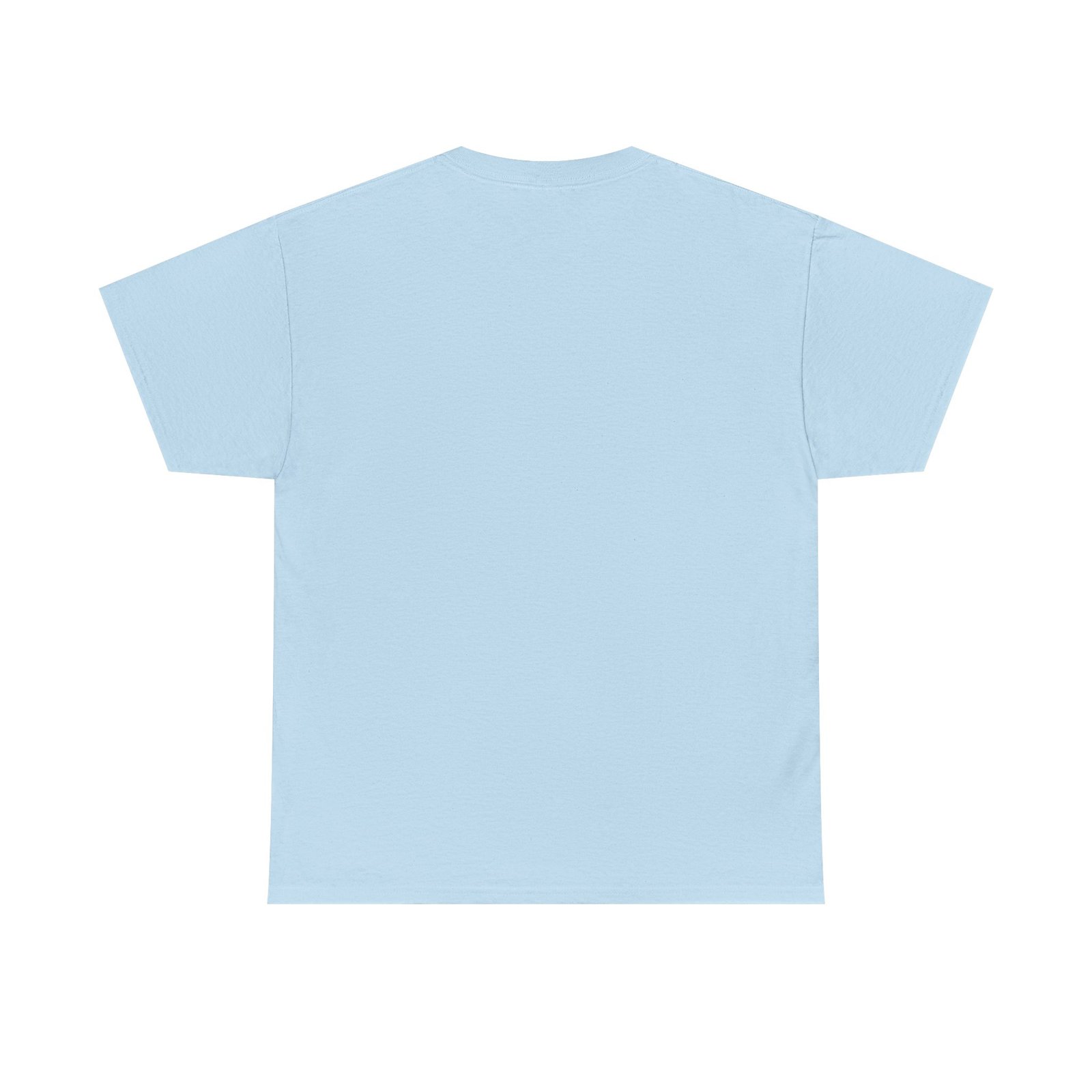 Let's Decolonize Judea T-Shirt - Image 24
