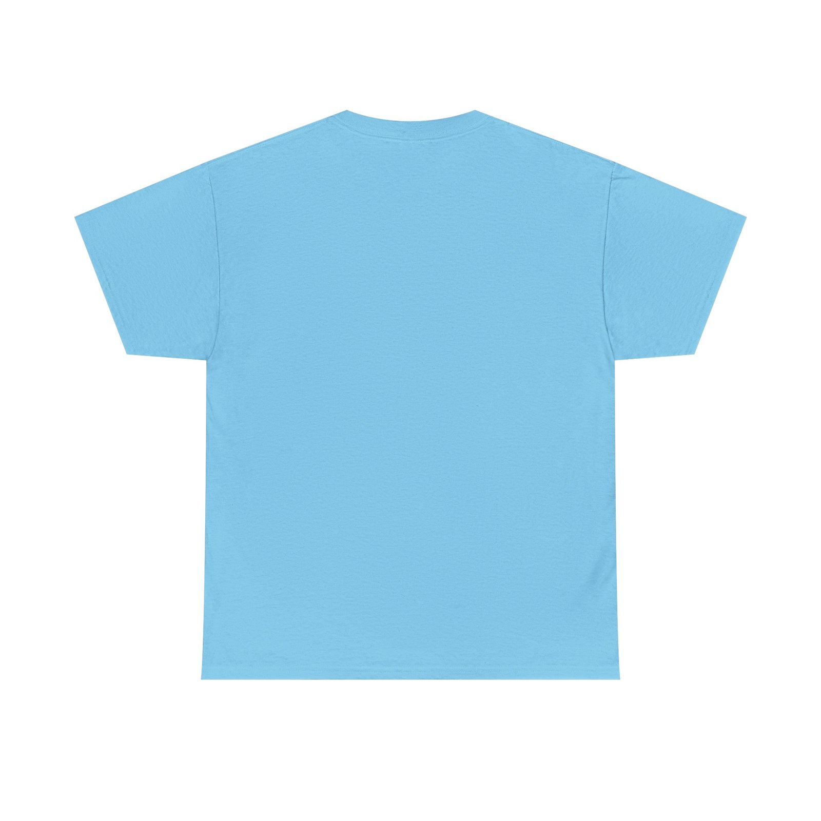 Let's Decolonize Judea T-Shirt - Image 19